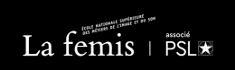 Logo Femis